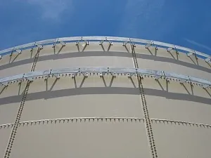 Инженерные водные экосистемы
